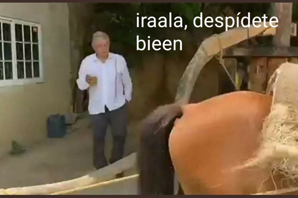 IRALA DESPIDETE BIEN