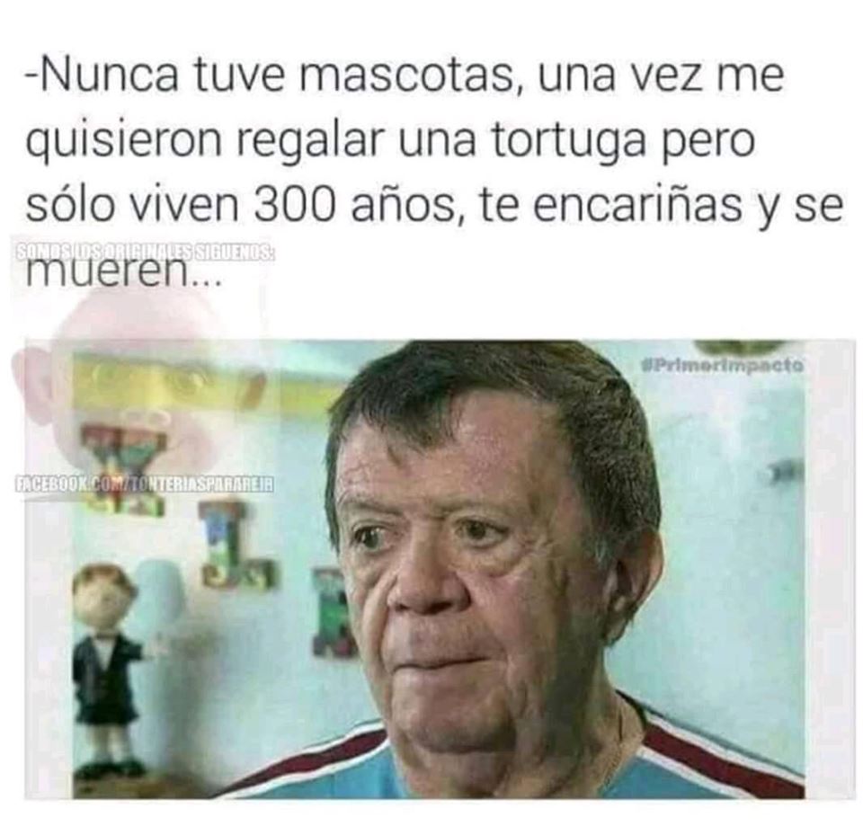 Chabelo inmortal memes