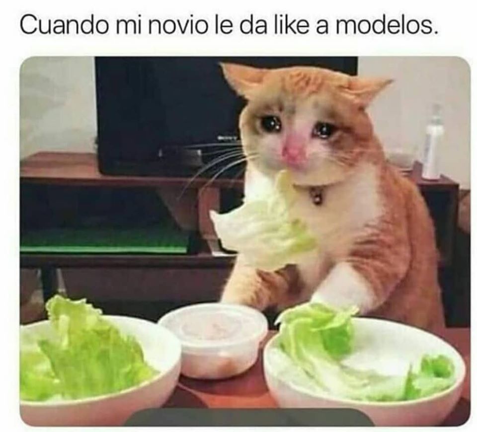 Dieta meme