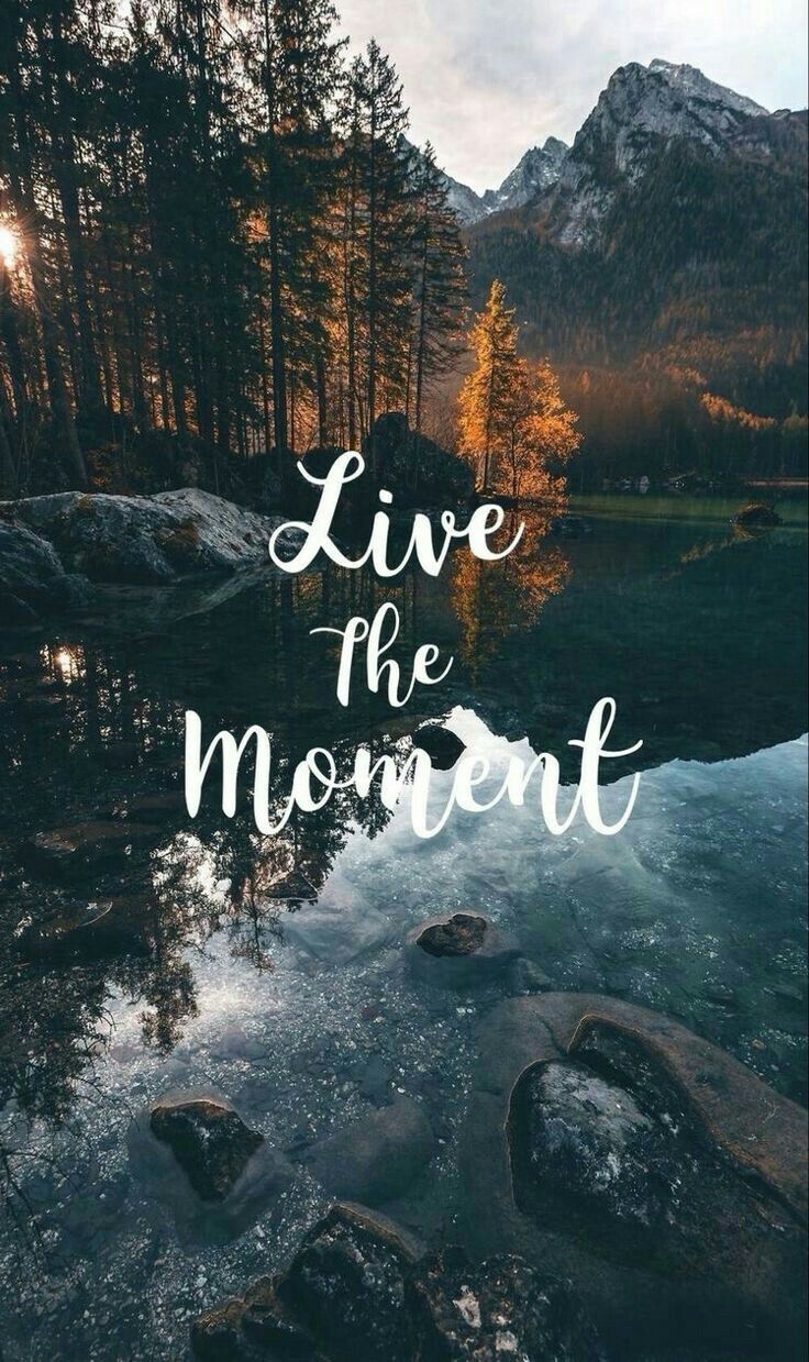 Live the moment