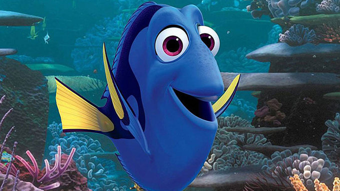 dory