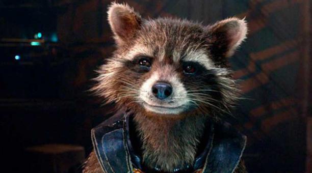 rocket raccoon