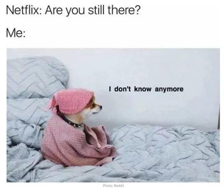 netflix meme