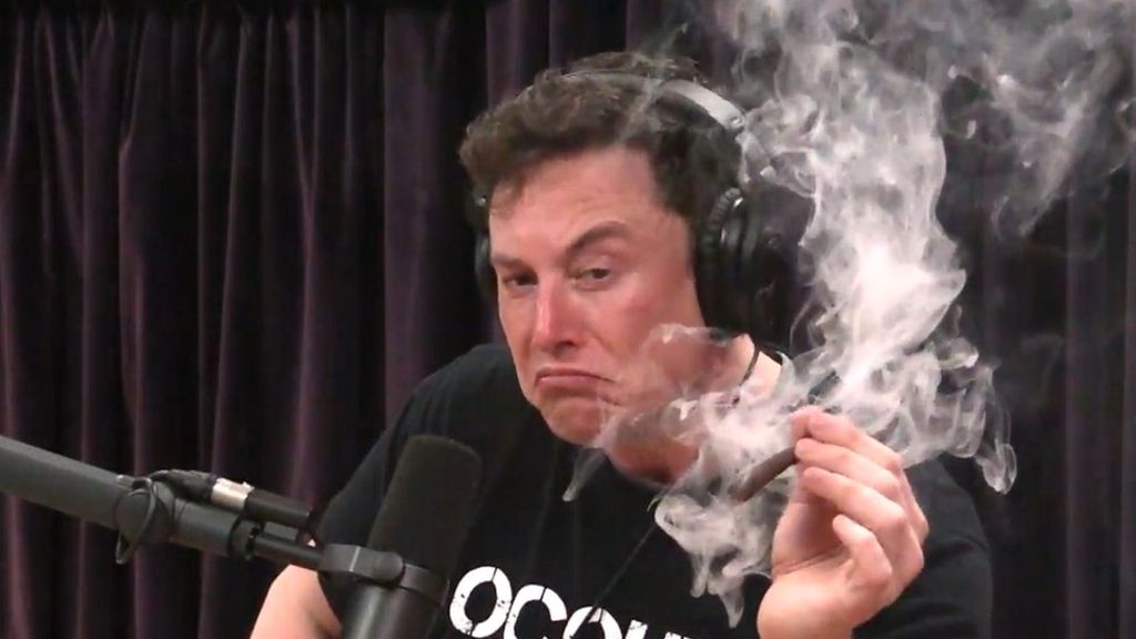 elon musk smoking weed