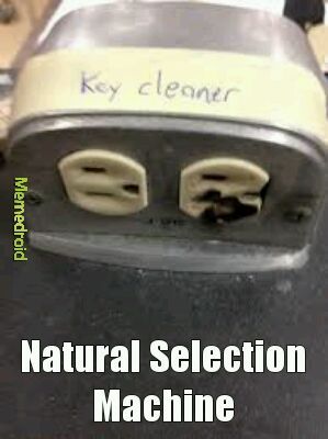 natural selection meme