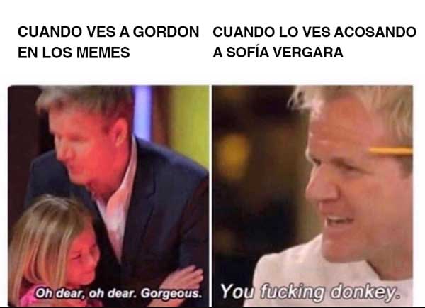 Gordon Ramsay meme