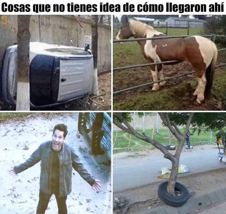 cosas que no sabes como llegaron ahí