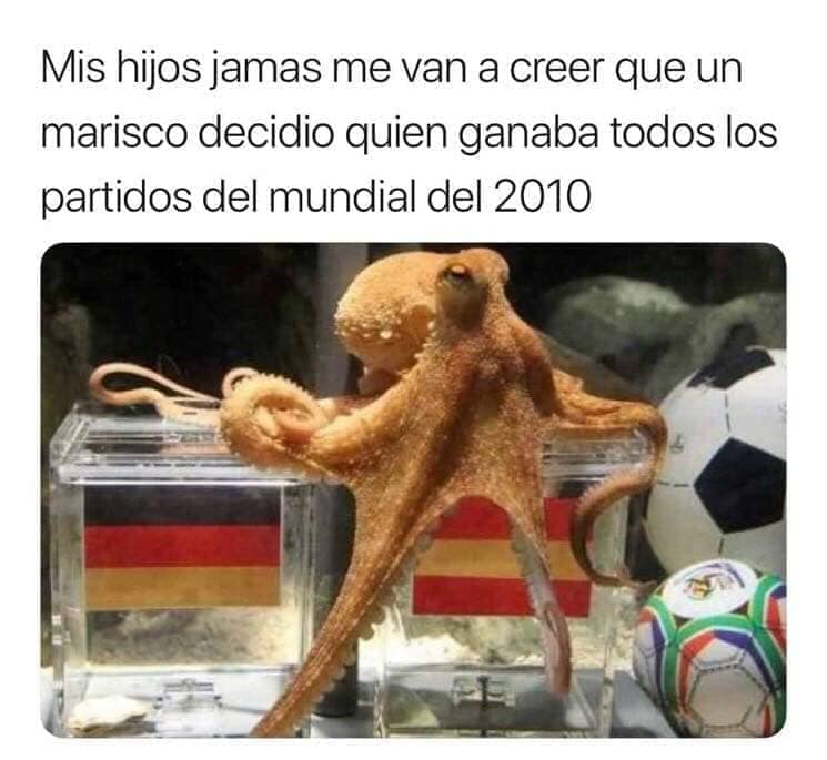 pulpo paul