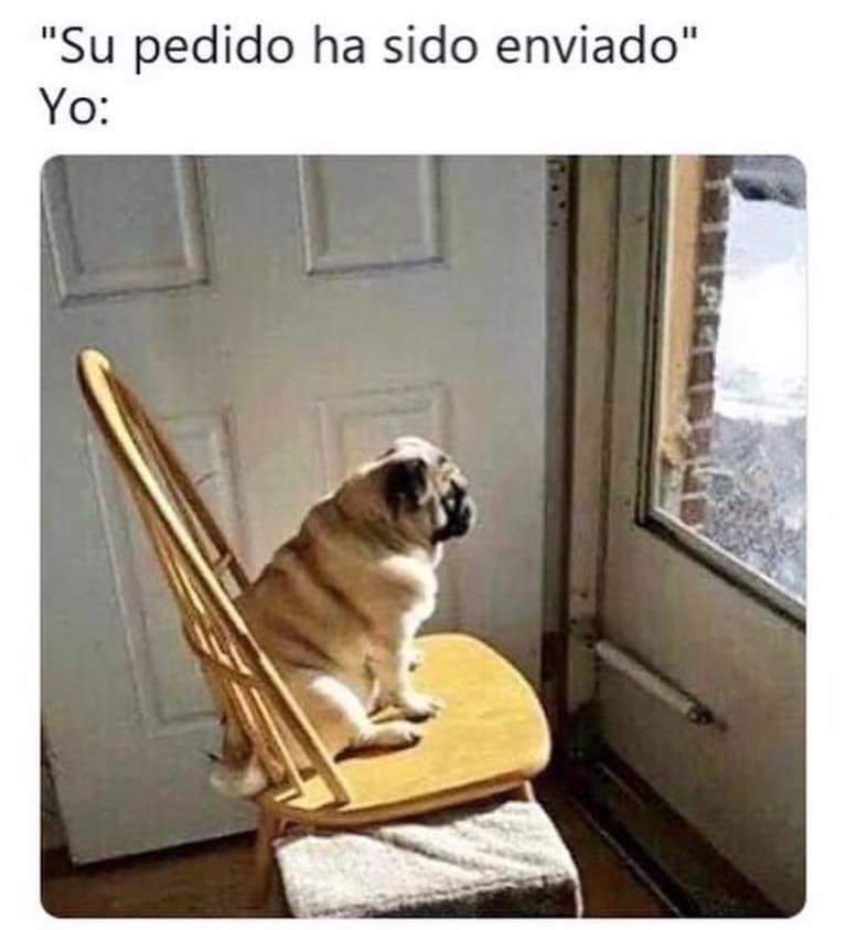 meme esperando mi paquete