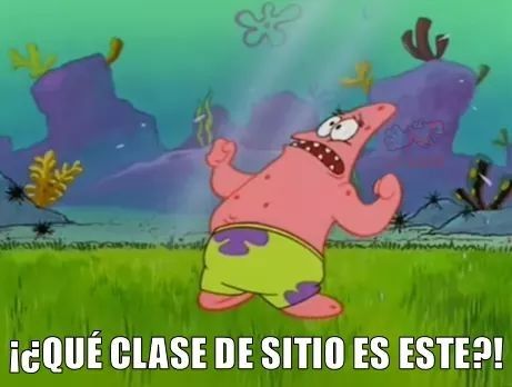 que clase de sitio es este meme bob esponja