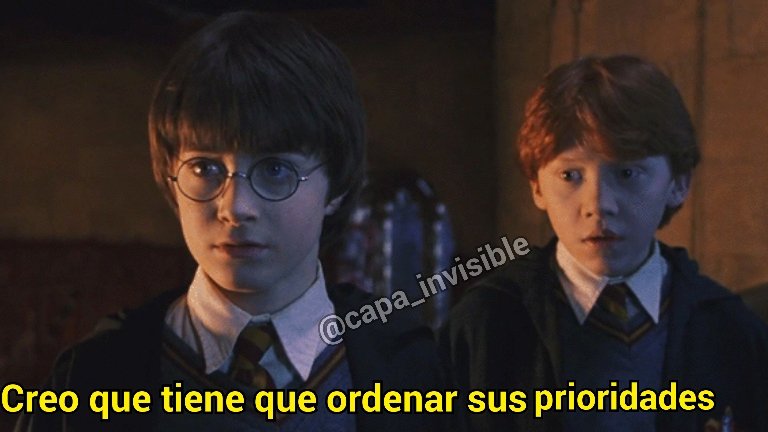 Creo que tiene que ordenar sus prioridades harry potter