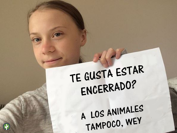 greta thunberg zoologicos animales