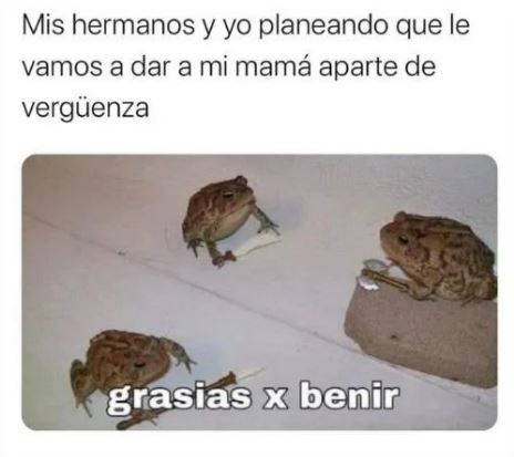 mama verguenza meme