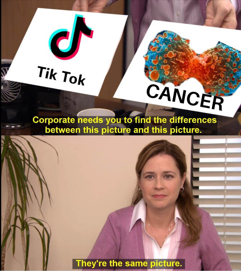 tiktok pam meme