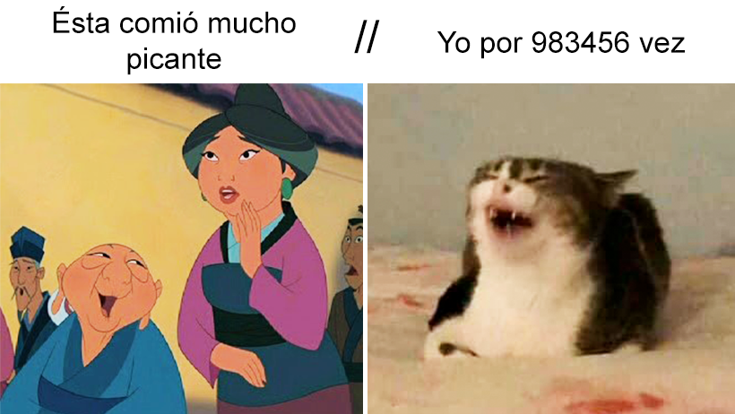 Mulan abuela gato meme