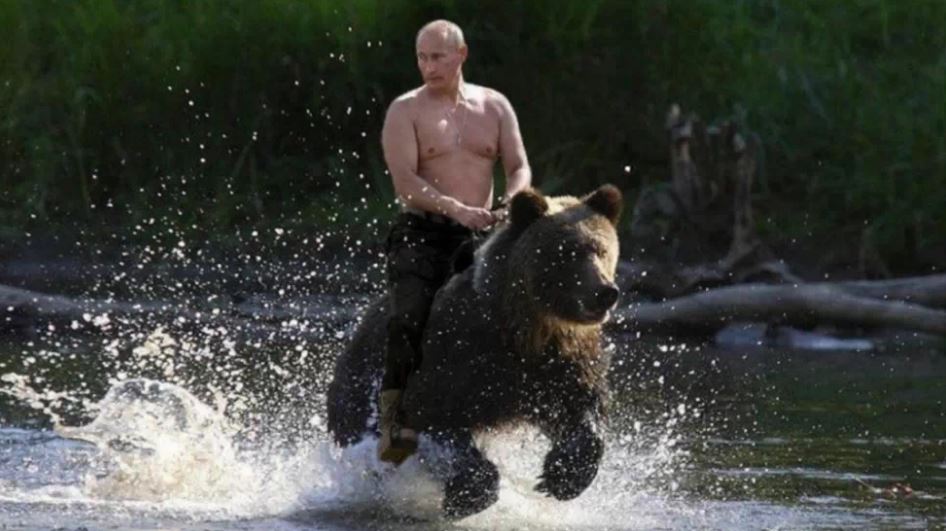 Putin Bear meme