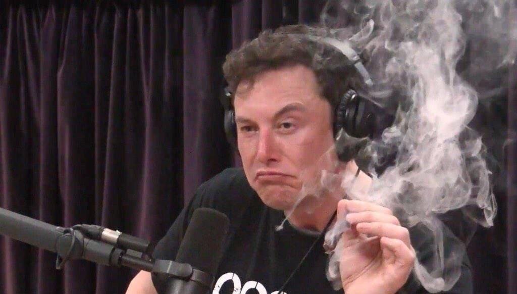 elon musk smoking weed