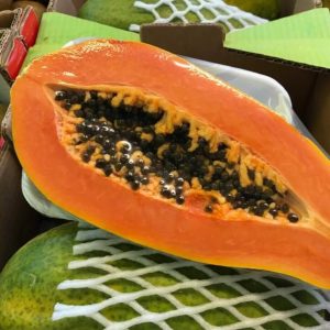 PAPAYA CELAYA DEFORMA