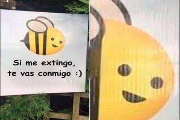 ABEJAS