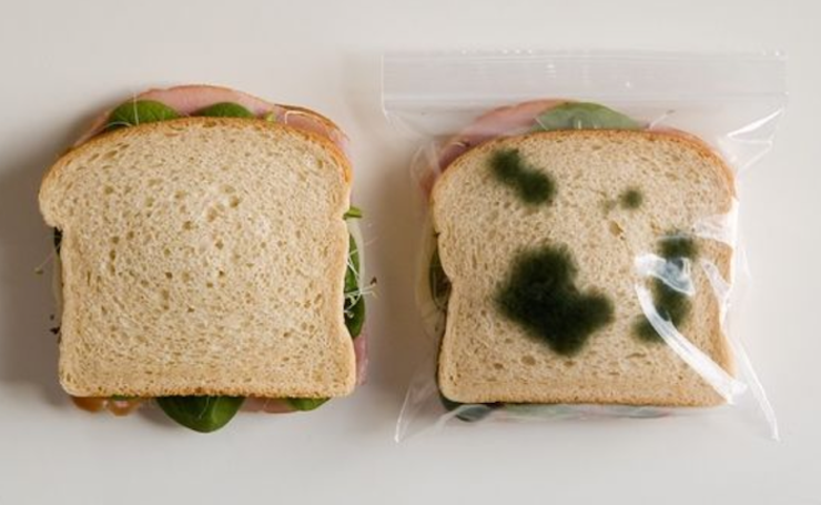 sandwich echado a perder