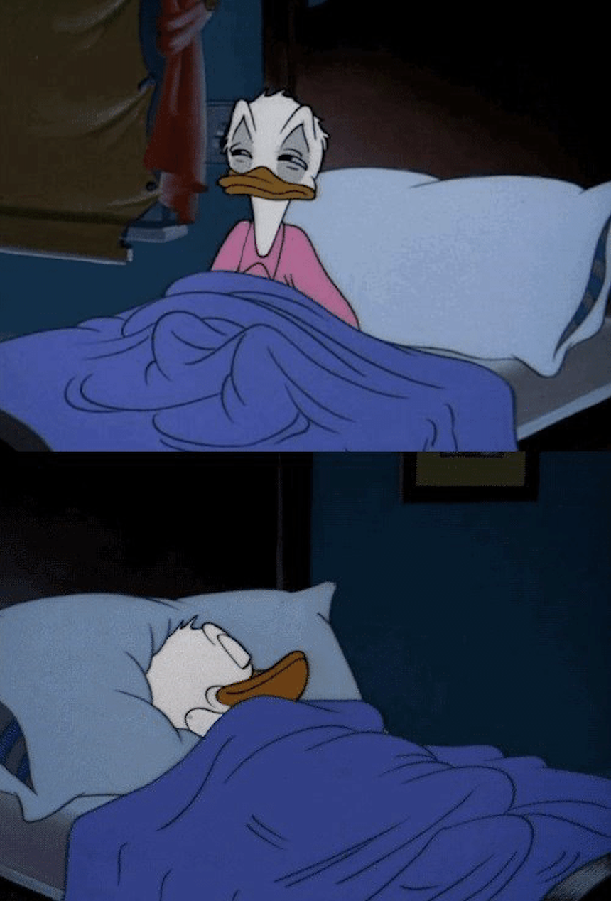 Donald duck sleeping meme