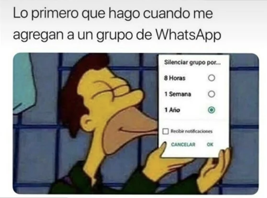 WhatsApp meme