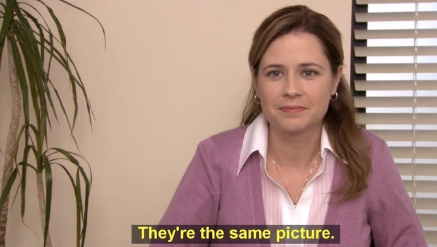 They're the same picture pam the office meme