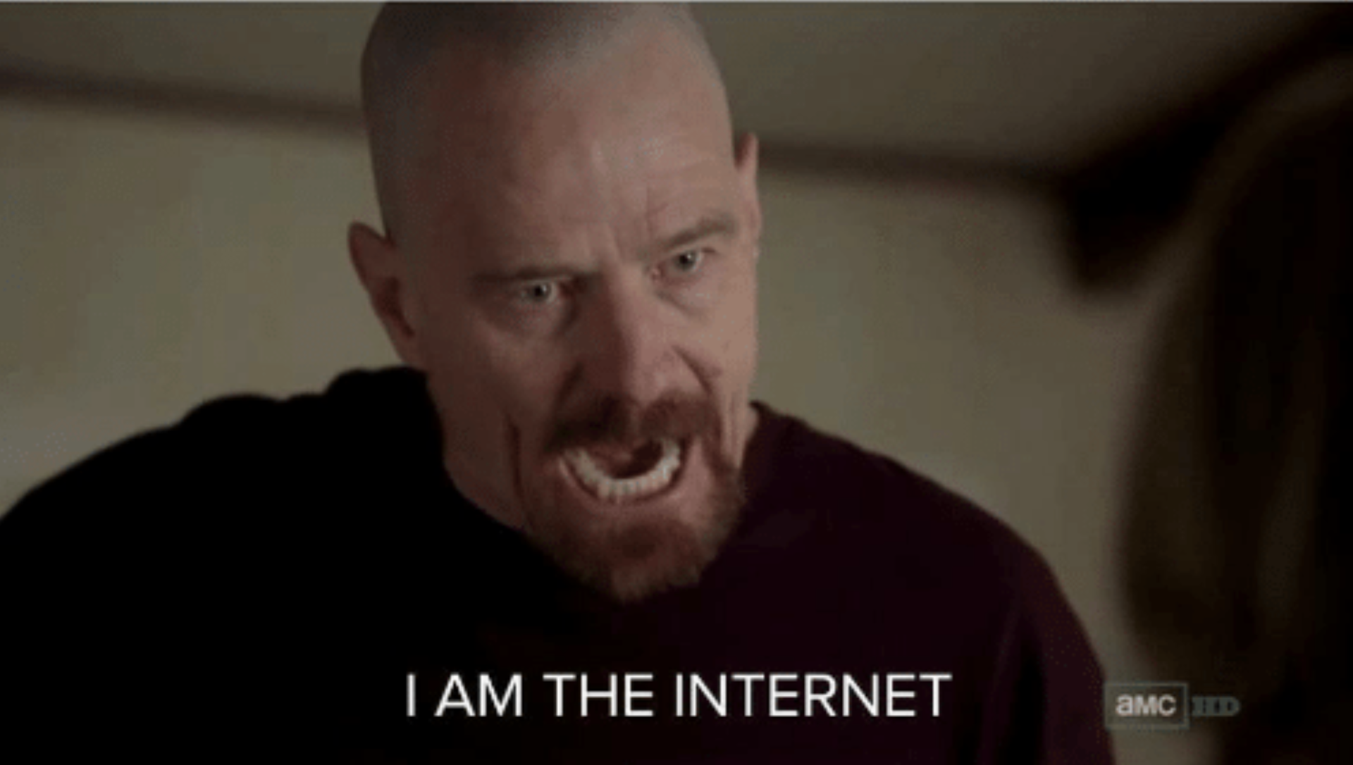 i am the internet