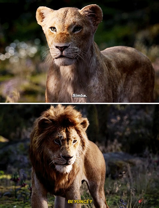 live-action-lion-king-memes-4