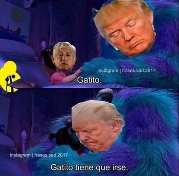 trump elecciones amlo meme