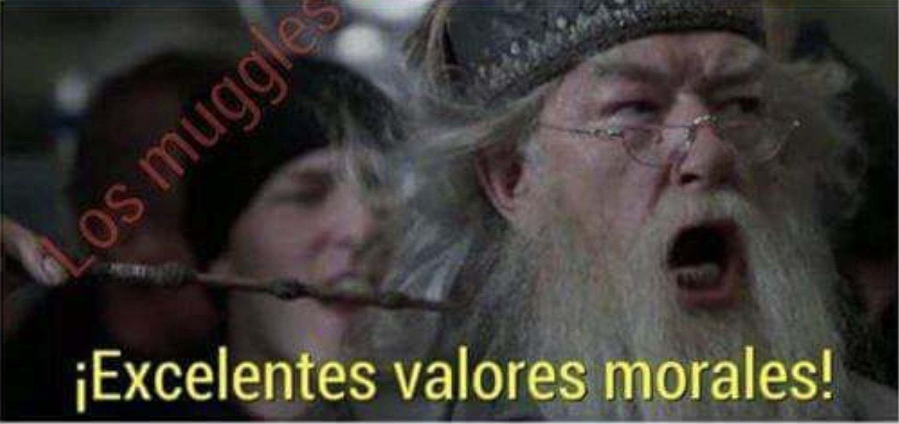 Harry Potter valores morales