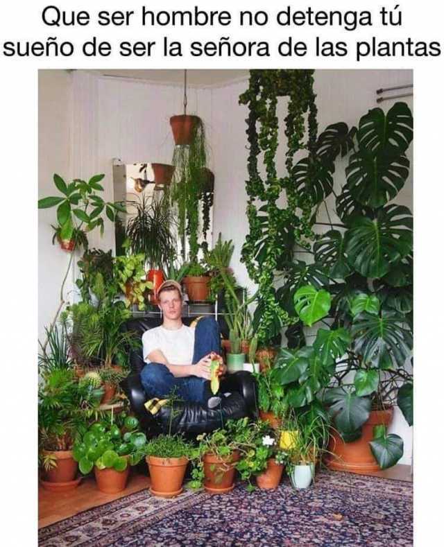 señora de las plantas meme