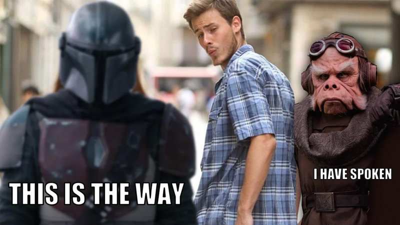 this is the way meme mandalorian //nota pandemials