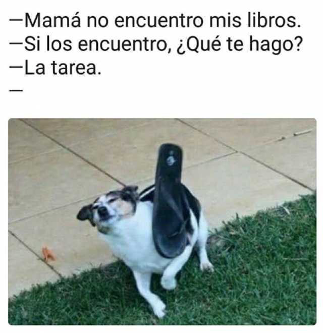 y si lo encuentro que te hago meme mama