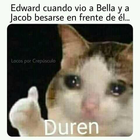 Twilight meme duren