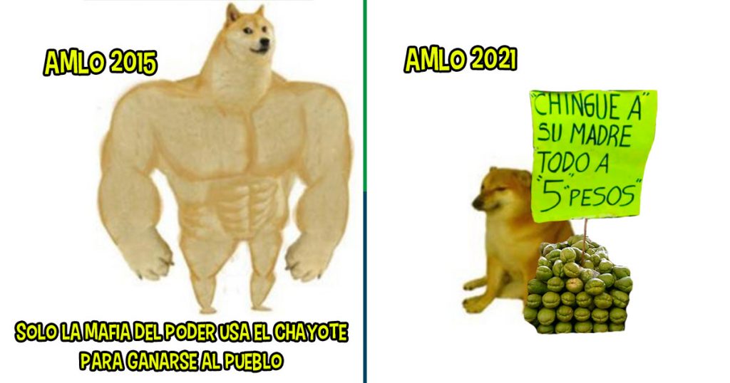 amlo chayote perro meme